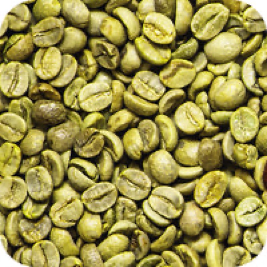Grüne Kaffeebohne