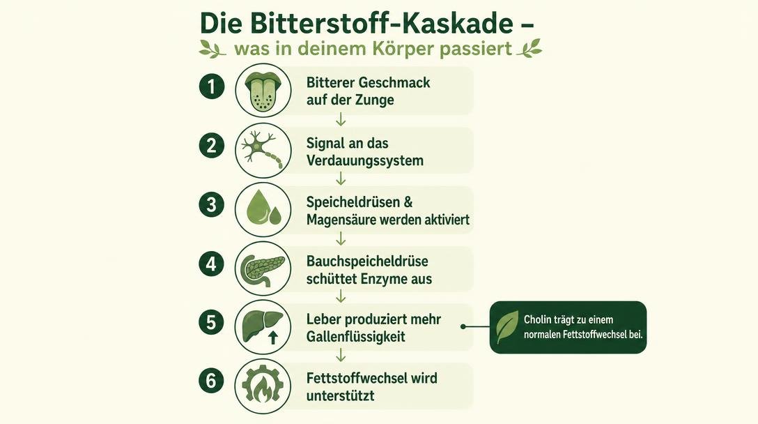 "Angebotsbox-Design: Zentral die BitterLiebe PLUS Kapseldose (exakte Produktverpackung, 90 Kapseln). Links daneben ein B