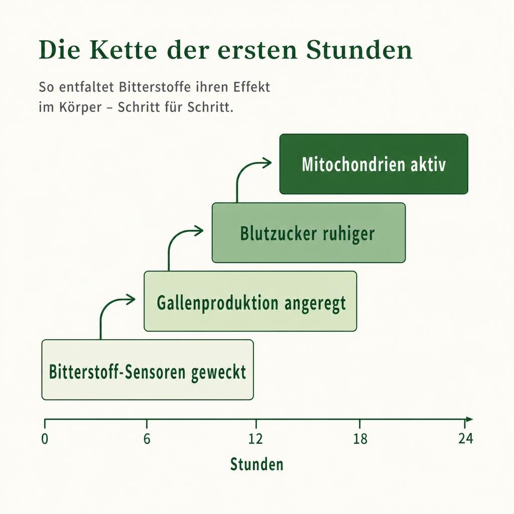 "Medizinische Grafik im Stil eines Fachbuchs, digital gesetzt wie in einem Gesundheitsmagazin, saubere Linien, drei Farb