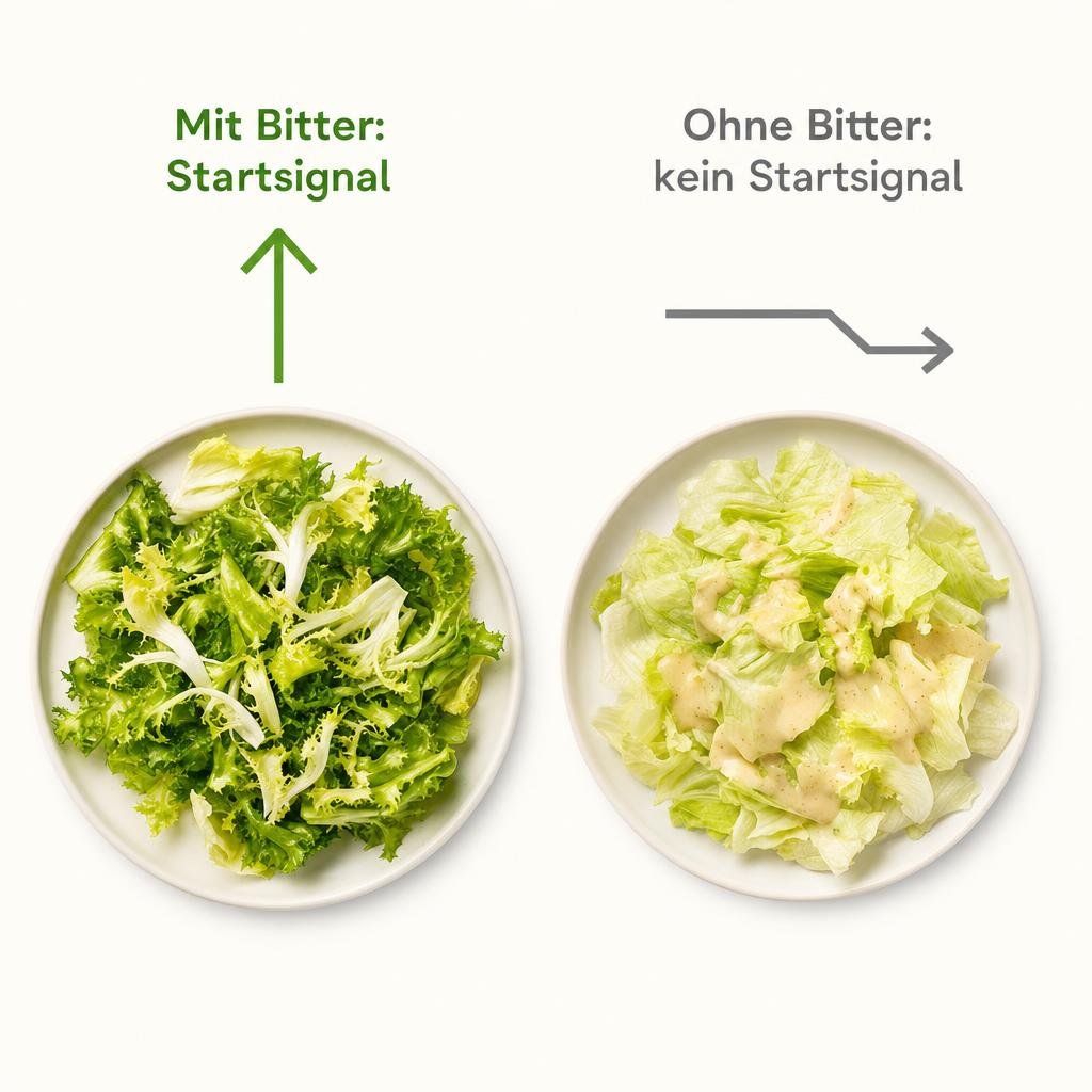 "Digital gesetzte Grafik im Stil eines Gesundheitsmagazins, heller Grund, zwei Farben grün und grau: zwei Teller nebenei