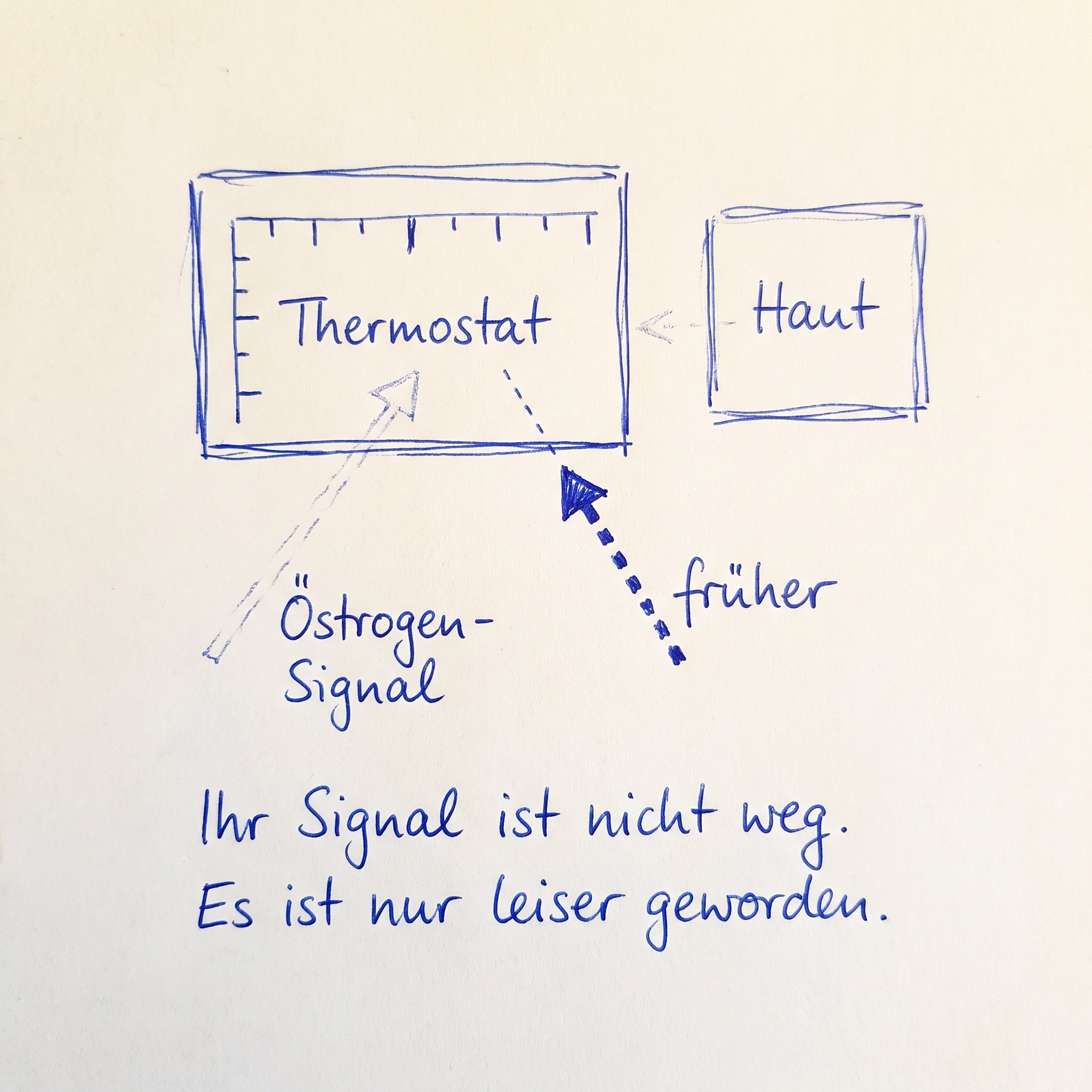 Gezeichnete Tafel im Stil einer handschriftlichen Kugelschreiber-Skizze auf weißem Papier, fotografiert von oben. Ein Re